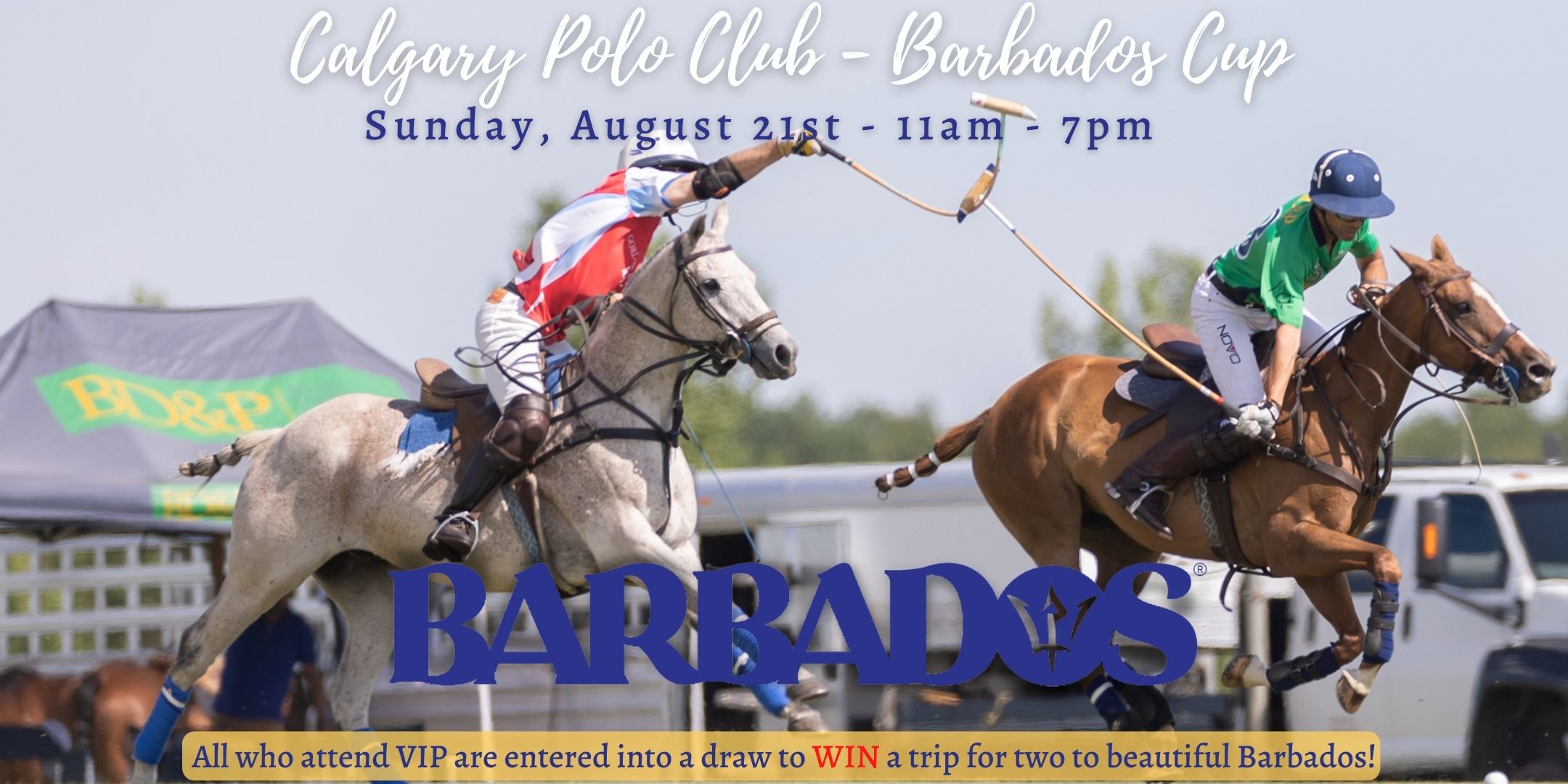 Barbados Calgary Polo Club
